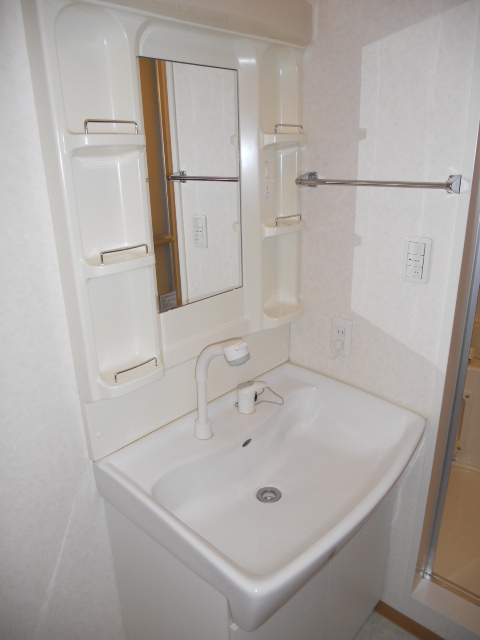 ウィル千代田0105号室 洗面所