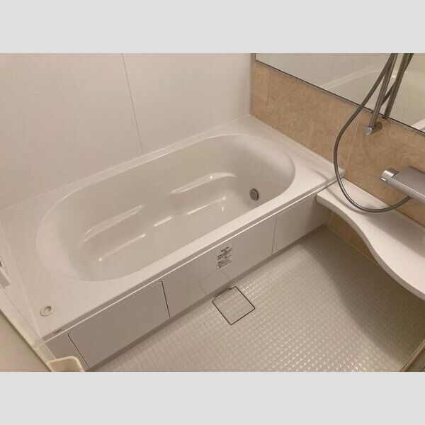 レインボーハウス(A)・エオス仲久保(B)　BB205号室 浴室