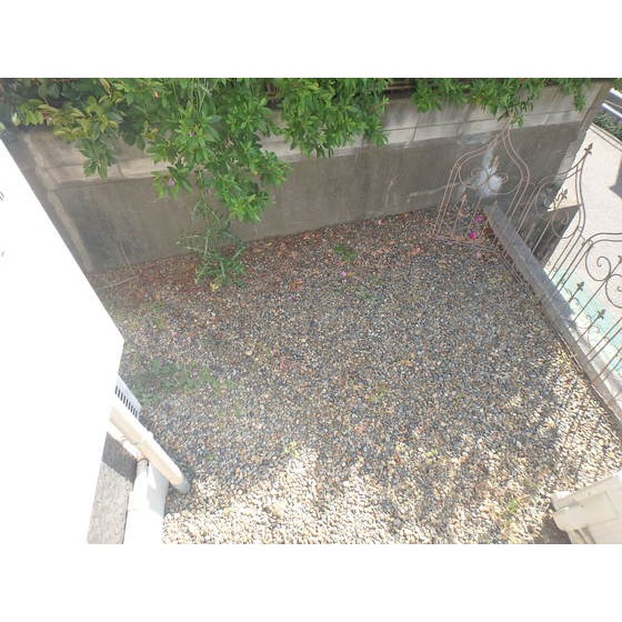 シャルムコートA1号室 その他