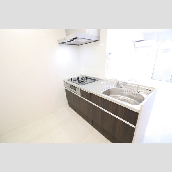 CLASSEUM桶川泉　Ⅰ103号室 システムキッチン