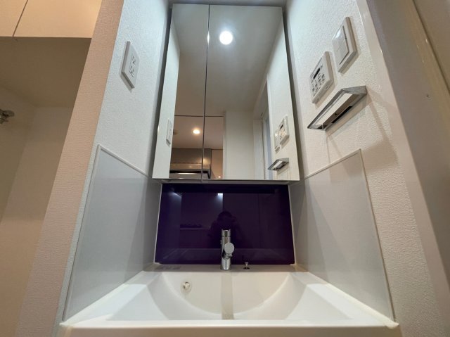 アジールコート池上101号室 洗面