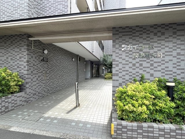 スカイコート駒場東大前3階 エントランス