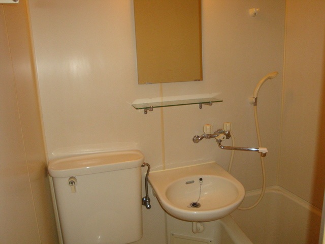 スカイピアさがみ野2C104号室 同タイプ参考写真