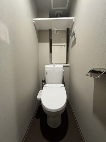 アルティザ氷川台0301号室 トイレ