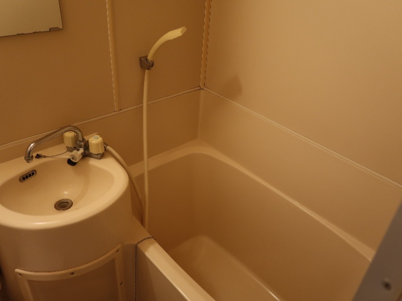 レイーナ北習志野 洗面