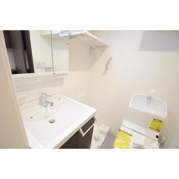 シャトン横浜上大岡101号室 洗面