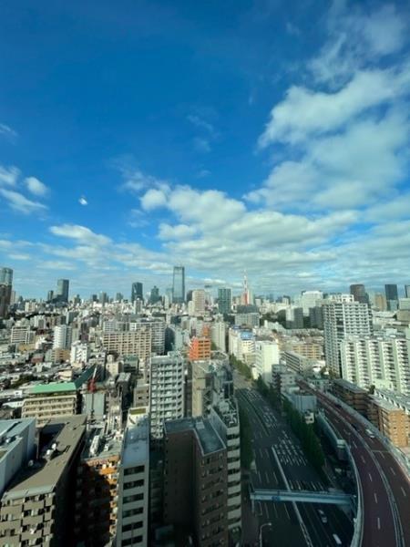 白金ザ・スカイ東棟22階 部屋その他