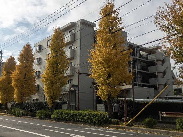 パレス武蔵野台壱番館0201号室 外観