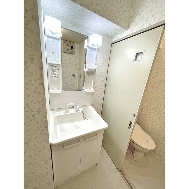 イーハトーヴ・ムトー302号室 シャンプードレッサー