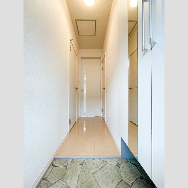 レセンテ南越谷 玄関