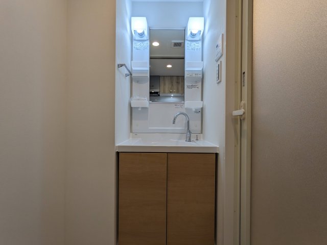 ハーモニーレジデンス蒲田アートヴィラ0408号室 洗面