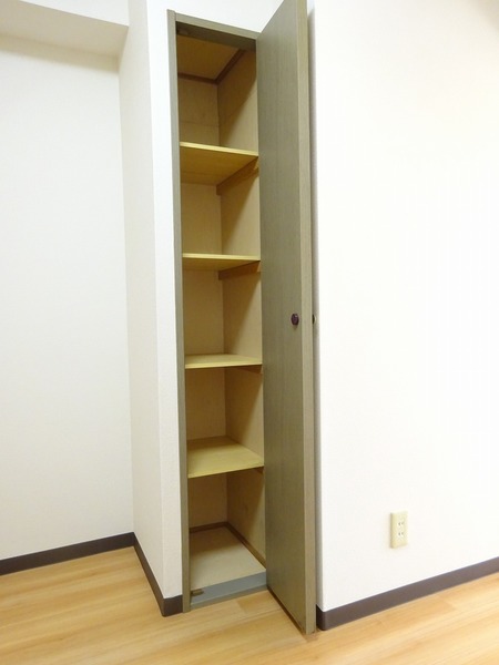 ライオンズマンション小岩第5314号室 収納