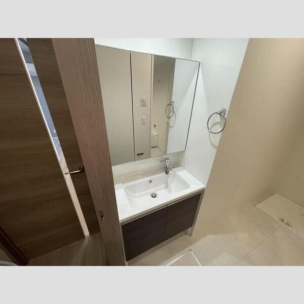 グラナーデ興野102号室 洗面