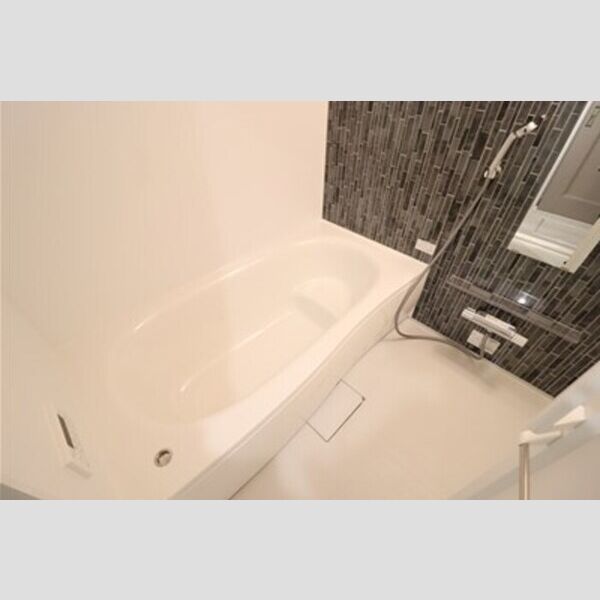 メゾン・ド・シルヴァ302号室 浴室