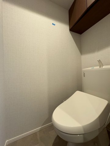 DIPS西新井601号室 トイレ