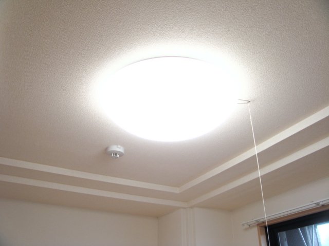 コンフォール・戸手301号室 照明