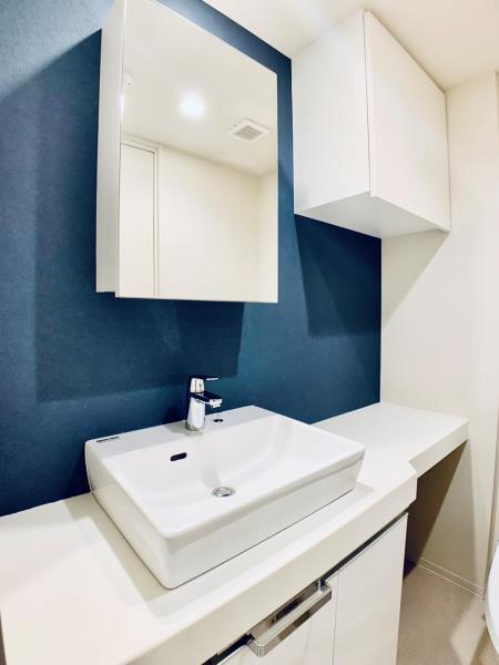 Ｂｒｉｌｌｉａ　ｉｓｔ　千駄ヶ谷8階 洗面