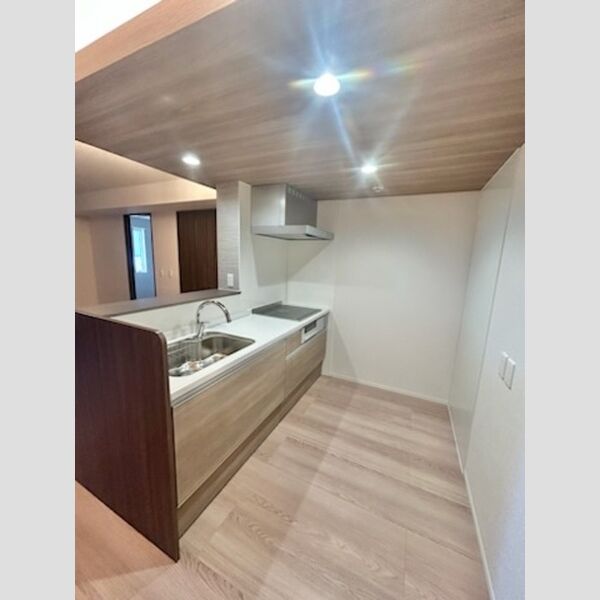 センカⅢ202号室 システムキッチン