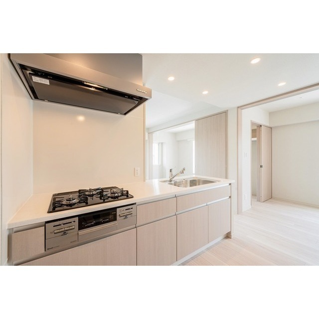 ドゥーエ西馬込0502号室 キッチン