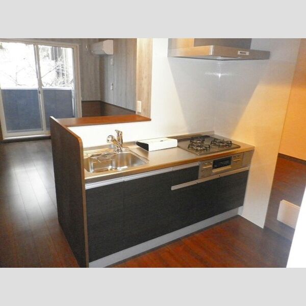 ラ・ベルデュール302号室 システムキッチン