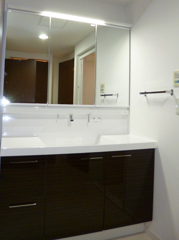 河田町ガーデン１号棟2階 洗面