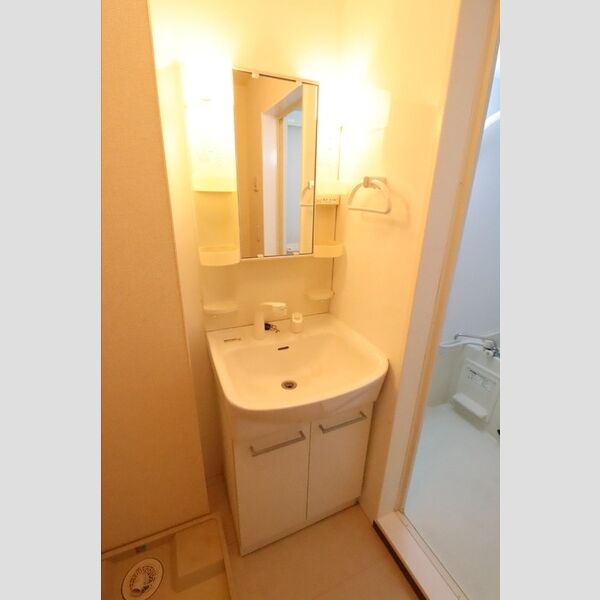 クリアコート201号室 洗面所