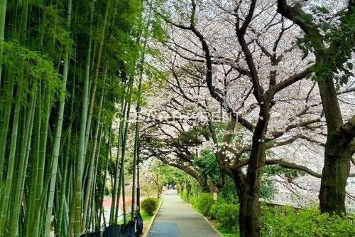 菱和パレス桜台4階 【公園】江古田の森公園まで1753ｍ