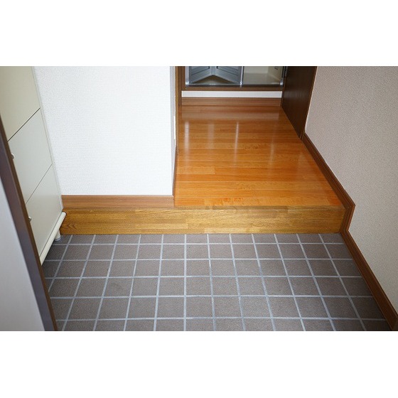 ＲＩＫＩパレス0105号室 玄関