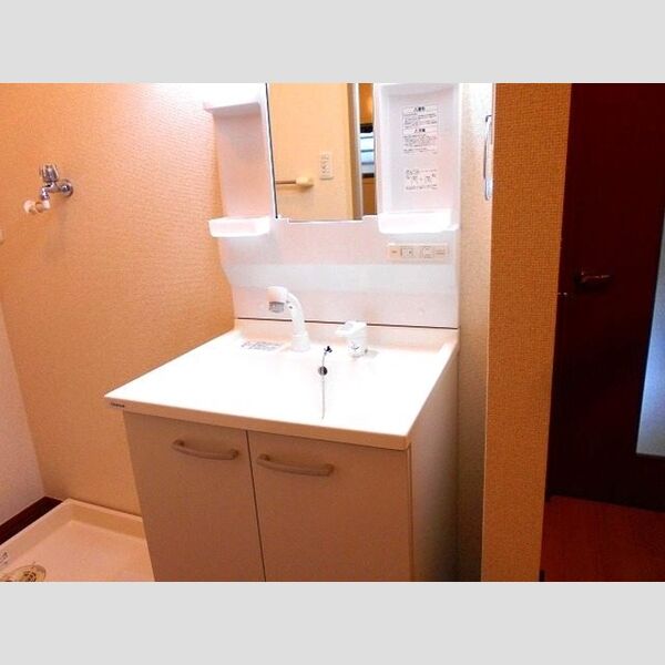 ハイム シンフォニア　A・BA210号室 洗髪洗面化粧台