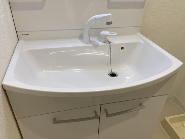 マンション　ウィスタリア3階 洗面