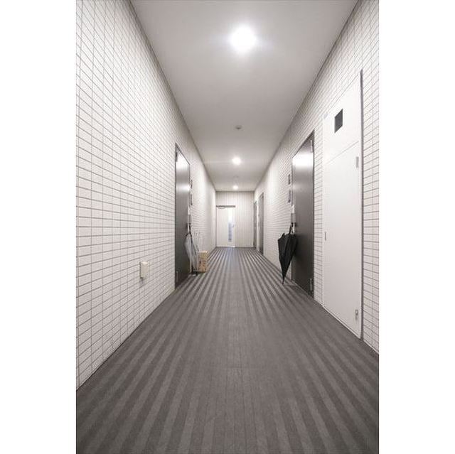 グリシーナ上北沢0207号室 内観