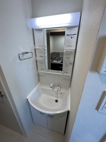 ハーモニーテラス上中里0201号室 洗面