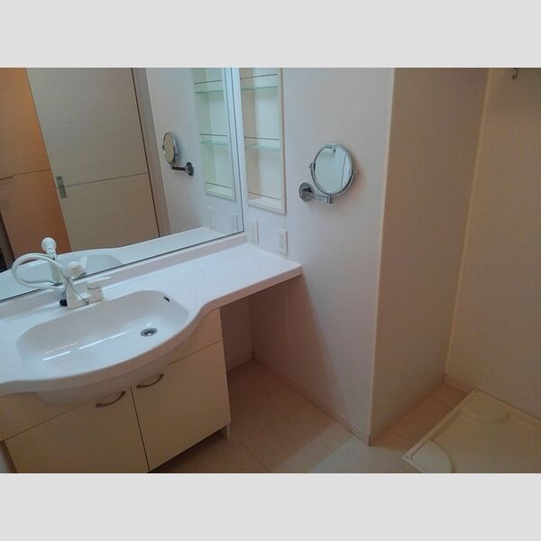 サニーフラット103号室 洗面