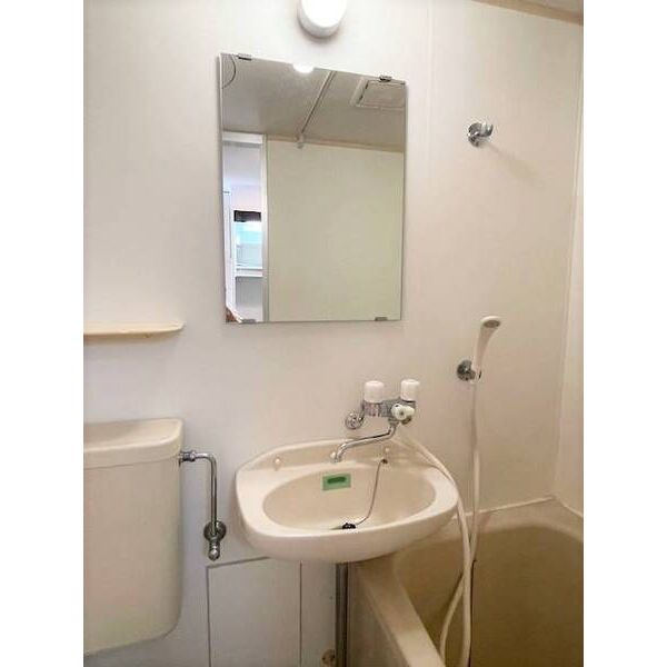 ジュネパレス柏第250102号室 洗面