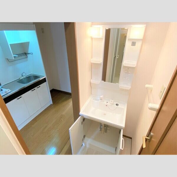 ボワ・フルール　A107号室 洗面台収納