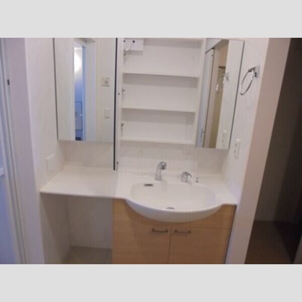 La　Mer　KANEDA201号室 洗髪洗面化粧台