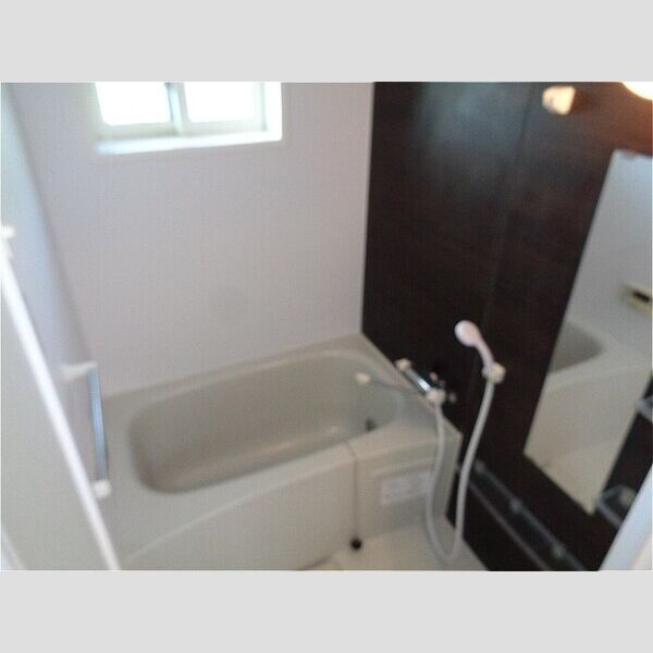 メゾンあき307号室 浴室