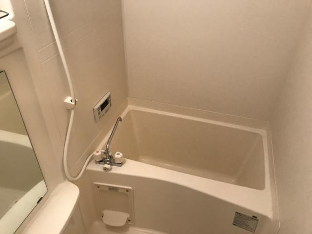 ＳＴＥＬＬＡ（ステラ） バス