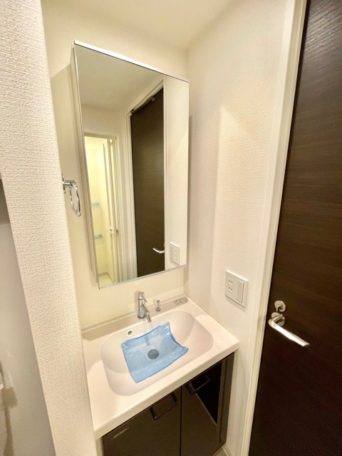 レジディア大森Ⅱ10階 洗面