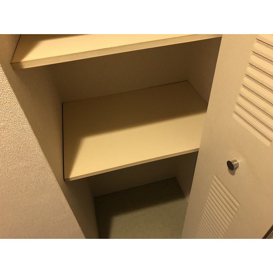 コスモ横浜大通り公園0505号室 玄関収納