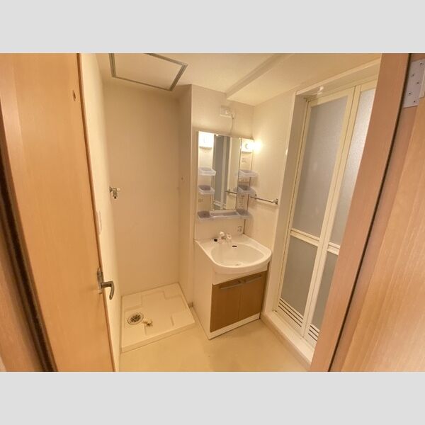 ラ・プランタン301号室 洗面