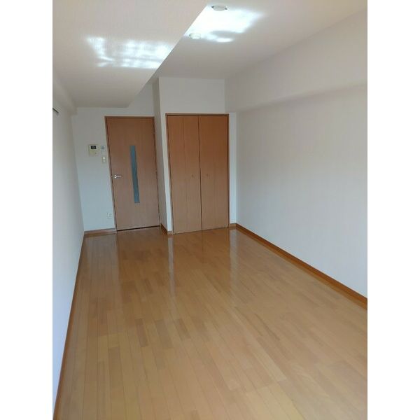 ヴィータローザ東雪谷302号室 部屋その他