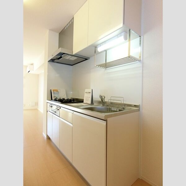 LUANA湘南202号室 システムキッチン