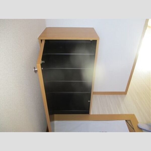 グリーンヒルズ　F棟203号室 シューズボックス