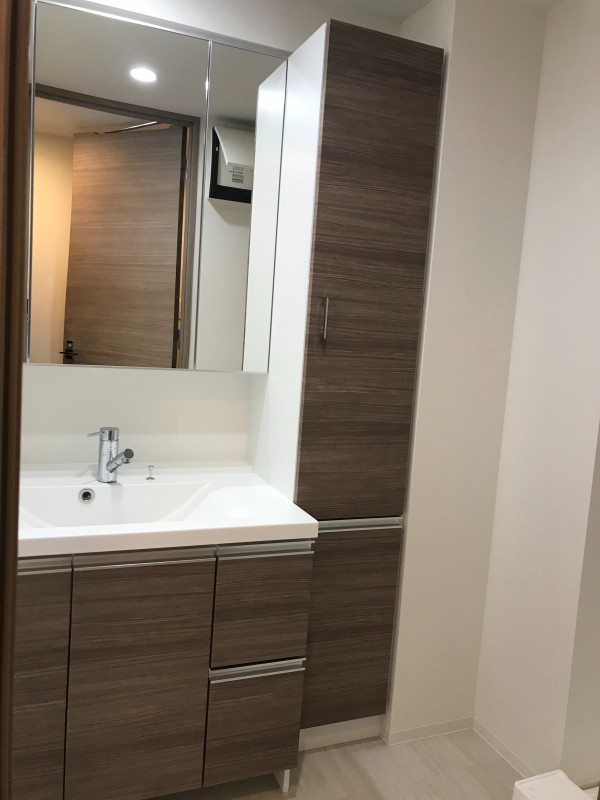 ヴァースクレイシア秋葉原EAST 洗面