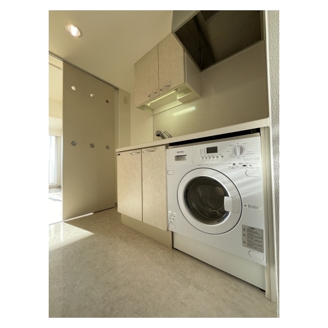メゾン・ド・ヴィレ麻布台1205号室 洗濯乾燥機