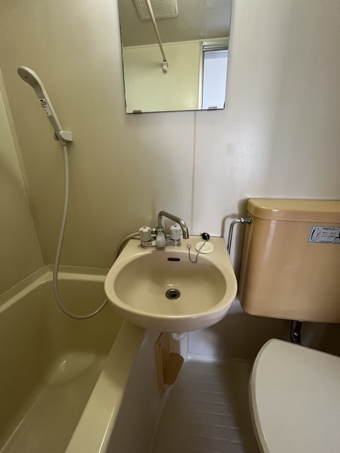 パインコート0302号室 洗面