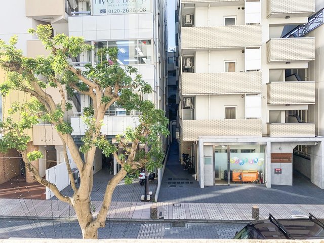 Ｗｉｓｔｅｒｉａ湘南0202号室 展望