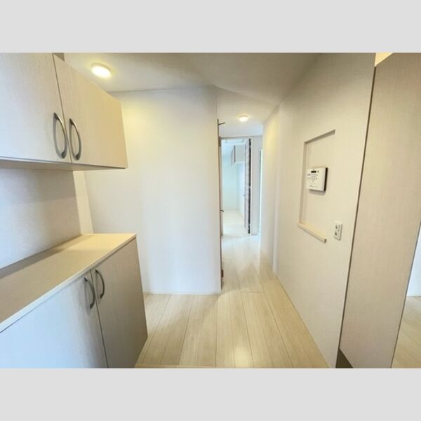 ロイジェントパークス レイクタウン Ⅱ　J 玄関