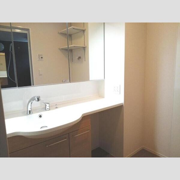 フローラ201号室 洗面